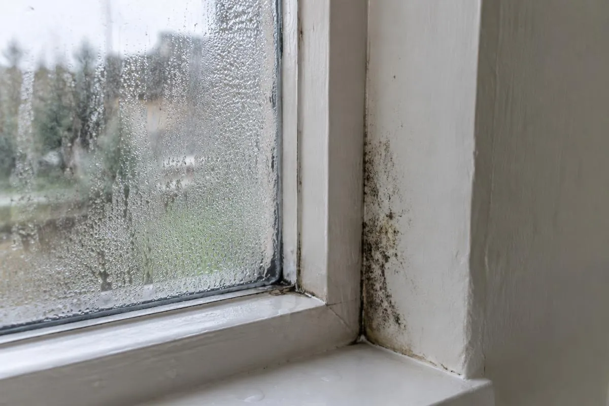 Illustration of window condensation and mould
